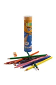 Bic Kids Evolution Metal Tüpte Kuru Boya Kalemi 12+1 thumbnail 2