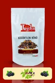 TİJDA Böğürtlen Kökü 50 gr (RUBUS CAESİUS) thumbnail 3