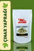 TİJDA Çınar Yaprağı 40 Gr (Platanus) thumbnail 1