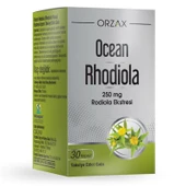 Ocean Rhodiola 30 Kapsül thumbnail 2