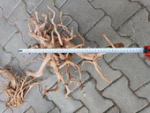 Yati Kökü Bağ 35-45 cm thumbnail 6