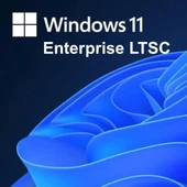 Windows 11 Enterprise LTSC 2024 Lisans Key thumbnail 2