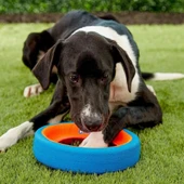 Chuckit! Fetch Wheel Oyun Halkası thumbnail 2