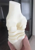 Diz Eklemi Modeli - Diz Eklemi Maketi thumbnail 1