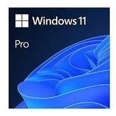 Microsoft Windows 11 Pro 64Bit Türkçe Kutu HAV-00159 Kutulu İşletim Sistemi thumbnail 2