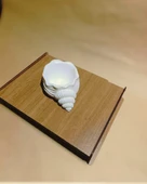 Minelly Concha thumbnail 4