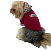 Bb Limited Bordo Kapşonlu Köpek Sweatshirt thumbnail 2