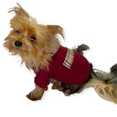 Bb Limited Bordo Kapşonlu Köpek Sweatshirt thumbnail 7