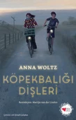 Köpekbalığı Dişleri thumbnail 3