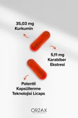 Ocean Curcumin 30 Licaps Kapsul thumbnail 3