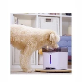 Aclıum Sensörlü Köpek Su Sebili 2,4 L thumbnail 2