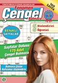 Fenomen Çengel Bulmaca 12 thumbnail 2