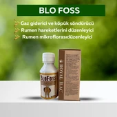 Royal İlaç Blofoss 100 Ml thumbnail 1