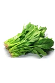 Ispanak Tohumu 25 Gr thumbnail 1