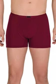 Erkek Modal Boxer Short Bordo 4488B thumbnail 1