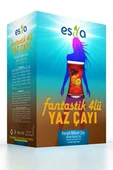 Fantastik 4 Lü Yaz Çayı 45 Li. thumbnail 1