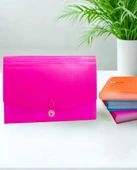 Körüklü Dosya 13 Bölümlü Cepli - Pembe thumbnail 1