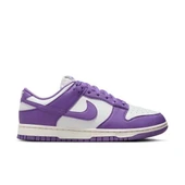 NİKE Dunk Low Next Nature DD1873-108 thumbnail 1