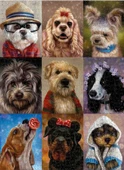 Nova 1000 Parça Sevimli Köpekler Kolajı Puzzle thumbnail 3