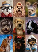 Nova 1000 Parça Sevimli Köpekler Kolajı Puzzle thumbnail 1