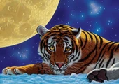 Art Puzzle 500 Parça Ay Kaplanı Puzzle thumbnail 1