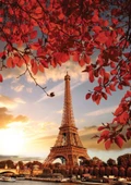 Nova Puzzle 41140 - 1000 Parça Eyfel Kulesi Puzzle thumbnail 1