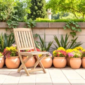 ReHome Samba İroko Katlanabilir Kolsuz Sandalye thumbnail 1