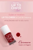 Lip To Cheek Tint 01 - Carmen thumbnail 2