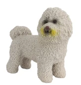 Model Köpek Bichon Frise thumbnail 2