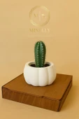 Minelly Pumpkin Touch Saksı thumbnail 4