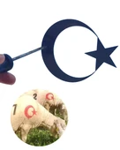 Tek Ay Yıldızlı İşaretleme Damgası thumbnail 2