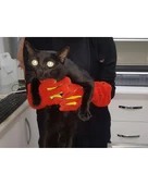 Kedi Yakalama Eldiveni 40 cm thumbnail 6