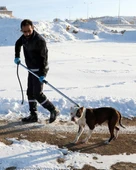 Köpek Yakalama Aleti 150 cm thumbnail 1