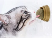 Kedi Otu Oyun Topu thumbnail 2