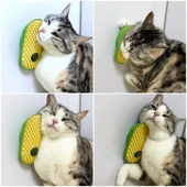 Silikon Kaşıyıcılı Kedi Otu thumbnail 4