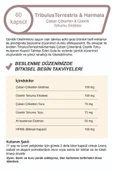 Mindivan Tribulus Terrestris for Men 500 mg 60 Capsules thumbnail 4