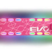 Evo 2 Tekerlekli Flash Işıklı Pembe Scooter thumbnail 5