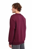 LUMBERJACK SN75C NECK ERKEK SWEATSHIRT 5PR thumbnail 3