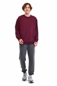 LUMBERJACK SN75C NECK ERKEK SWEATSHIRT 5PR thumbnail 4