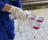 Mastitis Test Diski Beyaz Ekonomik thumbnail 2