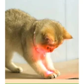 Otomatik Lazer Oyun Tasması thumbnail 3