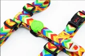 Tailpetz Rainbow Göğüs Tasmasi XS thumbnail 2
