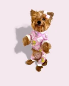 Teddy Toad Penye Köpek Tulum Pijama thumbnail 4