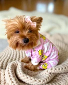 Teddy Toad Penye Köpek Tulum Pijama thumbnail 2