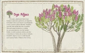 DOĞA PARMAKLARIMIN UCUNDA SET thumbnail 2