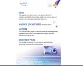 Forvits Lab Vision 30 Kapsül thumbnail 2