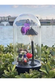 İB GLOBAL Hediyelik Işıklı Cam Fanus thumbnail 1