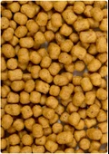 PİSTTACUS PARROT MAINTENANCE 3kg thumbnail 3