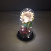 Romantik Sevgililer Temalı Işıklı Gül Fanus thumbnail 2
