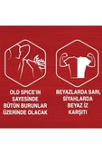 Old Spice Deo Stick Captain 50 ml thumbnail 6